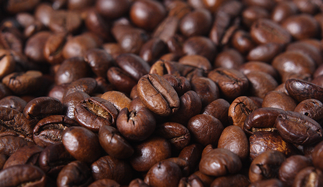 café robusta brasileiro especificações
